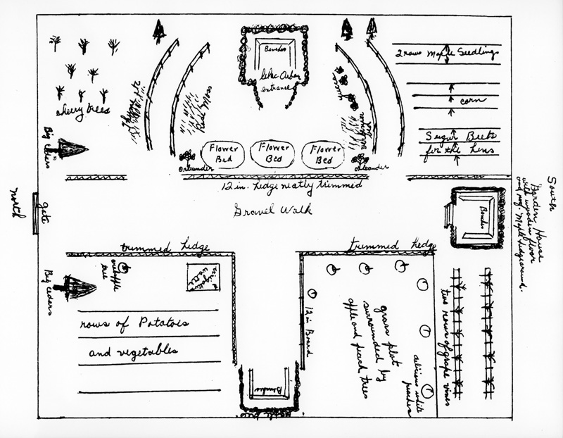 A diagram of Bernhard Harder, Sr.'s garden as drawn from memory by granddaughter Marie when she was in her 70s.  (Melvin Epp)