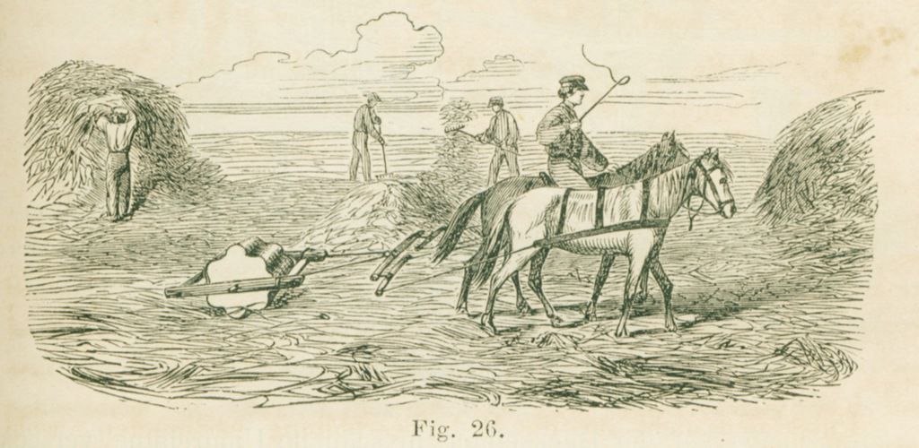 Alexander Petzholdt, Reise im westlichen und sudlichen europaischen Russland im Jahre 1855 (Leipzig: Herman Fries, 1864), 157.